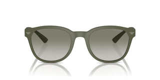 Emporio Armani EA 4225U men Green Pantos Sunglasses