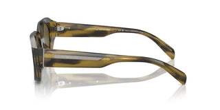 Emporio Armani Ea 4230u Men Green Oval Sunglasses