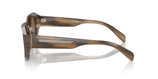 Emporio Armani Ea 4230u Men Brown Oval Sunglasses