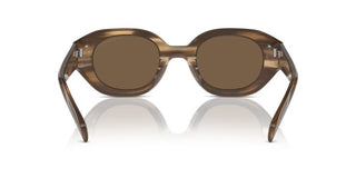 Emporio Armani Ea 4230u Men Brown Oval Sunglasses