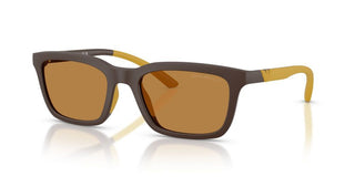 Emporio Armani Ea 4249u Men Brown Squared Sunglasses