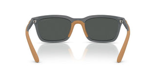 Emporio Armani Ea 4249u Men Grey Squared Sunglasses