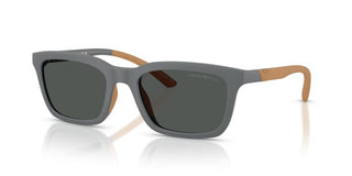 Emporio Armani Ea 4249u Men Grey Squared Sunglasses