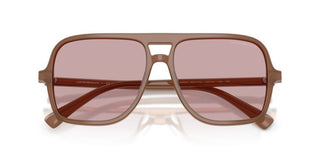 Emporio Armani Ea 4252u Men Brown Pilot Sunglasses