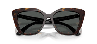 Emporio Armani Ea 4254u With Clip On Women Black Cat Eye Sunglasses