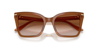 Emporio Armani EA 4273BU women Brown Sunglasses
