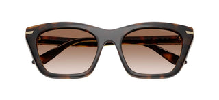 Emporio Armani Ea 4274bu Women Havana Squared Sunglasses