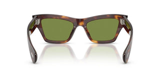 Oliver Peoples Edition 3 Ov 5611su Women Havana Cat Eye Sunglasses