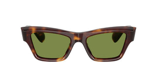 Oliver Peoples EDITION 3 OV 5611SU women Havana Cat Eye Sunglasses