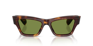 Oliver Peoples Edition 3 Ov 5611su Women Havana Cat Eye Sunglasses