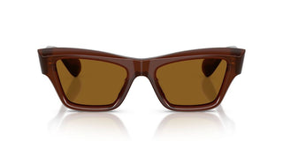 Oliver Peoples EDITION 3 OV 5611SU women Brown Cat Eye Sunglasses