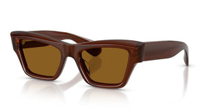 Oliver Peoples EDITION 3 OV 5611SU women Brown Cat Eye Sunglasses