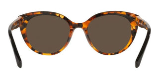 Alain Mikli ELINETTA SUN 0A05066 women Havana Cat Eye Sunglasses