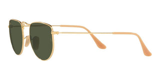 Ray-Ban ELON RB 3958 unisex Gold Geometric Sunglasses