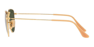 Ray-Ban ELON RB 3958 unisex Gold Geometric Sunglasses