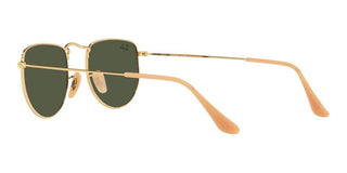 Ray-Ban ELON RB 3958 unisex Gold Geometric Sunglasses