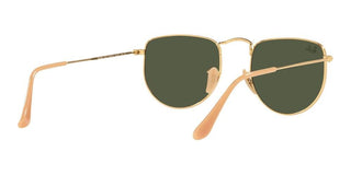 Ray-Ban ELON RB 3958 unisex Gold Geometric Sunglasses