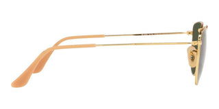 Ray-Ban ELON RB 3958 unisex Gold Geometric Sunglasses