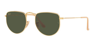Ray-Ban ELON RB 3958 unisex Gold Geometric Sunglasses
