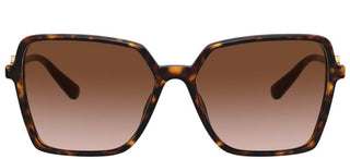 Versace ENAMEL MEDUSA VE 4396 women Havana Butterfly Sunglasses