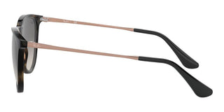 Ray-Ban ERIKA JUNIOR RJ 9060S children Havana Round Sunglasses