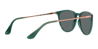 Ray-Ban ERIKA JUNIOR RJ 9060S children Gold Round Sunglasses