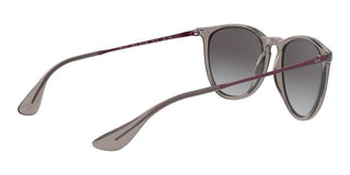 Ray-Ban Rubber ERIKA RB 4171 women Grey Round Sunglasses