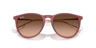 Ray-Ban Rubber ERIKA RB 4171 women Violet Round Sunglasses