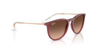 Ray-Ban Rubber ERIKA RB 4171 women Violet Round Sunglasses