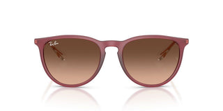 Ray-Ban Rubber ERIKA RB 4171 women Violet Round Sunglasses