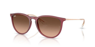 Ray-Ban Rubber ERIKA RB 4171 women Violet Round Sunglasses