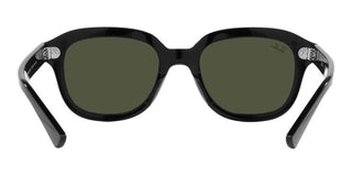 Ray-Ban ERIK RB 4398 unisex Brown Geometric Sunglasses