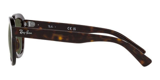 Ray-Ban ERIK RB 4398 unisex Brown Geometric Sunglasses