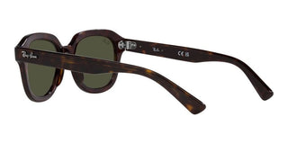 Ray-Ban ERIK RB 4398 unisex Brown Geometric Sunglasses