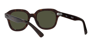 Ray-Ban ERIK RB 4398 unisex Brown Geometric Sunglasses