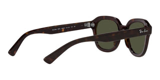 Ray-Ban ERIK RB 4398 unisex Brown Geometric Sunglasses