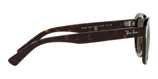 Ray-Ban ERIK RB 4398 unisex Brown Geometric Sunglasses