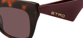 Etro ETRO 0004/G/S women Havana Butterfly Sunglasses