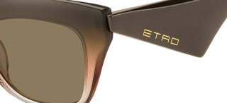 Etro ETRO 0004/G/S women Brown Butterfly Sunglasses