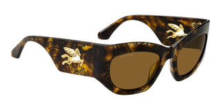 Etro ETRO 0074/G/S women Havana Cat Eye Sunglasses