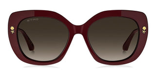 Etro ETRO 0091/F/S women Violet Butterfly Sunglasses
