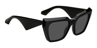 Etro Etro 0096/g/s Women Black Butterfly Sunglasses