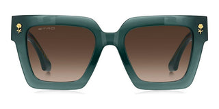 Etro ETRO 0113/S women Green Butterfly Sunglasses