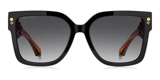 Etro Etro 0127/s Women Brown Squared Sunglasses