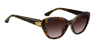 Etro Etro 0133/f/s Women Havana Cat Eye Sunglasses