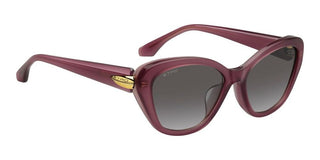 Etro Etro 0133/f/s Women Violet Cat Eye Sunglasses