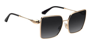 Etro Etro 0138/s Women Rose Gold Oversize Sunglasses