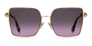Etro Etro 0138/s Women Rose Gold Oversize Sunglasses