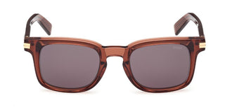 Ermenegildo Zegna Ez0230 Unisex Brown Rectangle Sunglasses