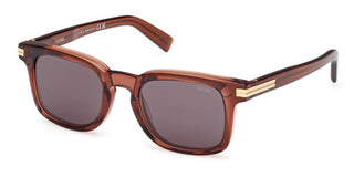 Ermenegildo Zegna Ez0230 Unisex Brown Rectangle Sunglasses